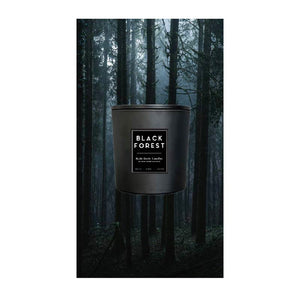 BLACK FOREST - Candle 18 oz